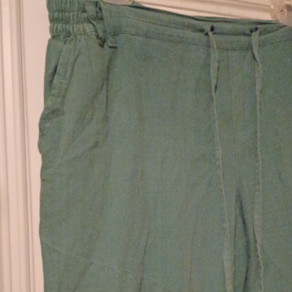Sincerely Jules Green Pants